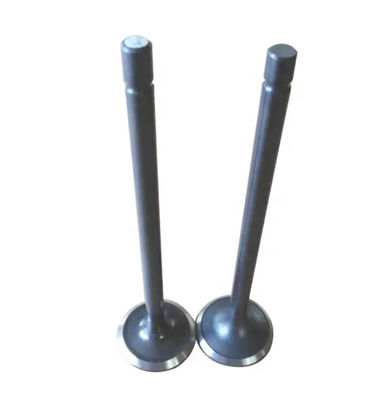 24V FE6 Intake Valve 13201-Z5503 13202-Z5504 Engine Exhaust Valve Seat