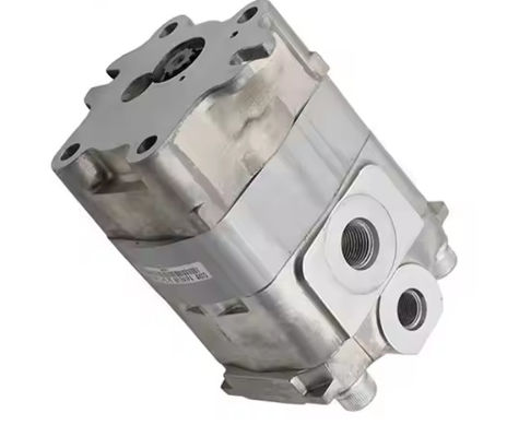 Excavator Hydraulic Gear Pump 290-3628 2903628 For Mini Excavator E305 CAT305.5