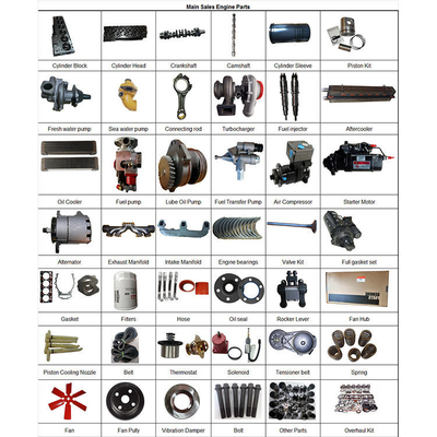 4BTA 3.9 4B 4BT Crankshaft with Gear Engine Parts for Excavator Diesel 3908031 3863276